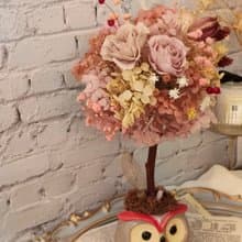 【綺思藝想】永生不凋花-招福招財貓頭鷹花球樹