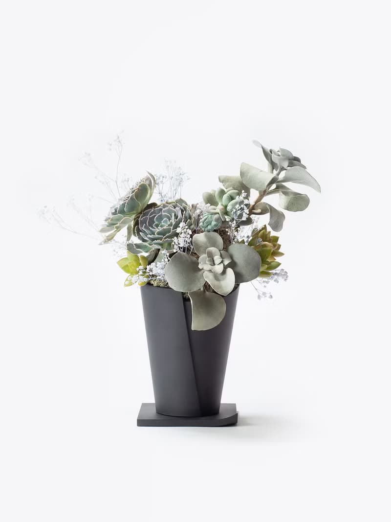 【專車配送】爵士優伶 - 以植為禮 / 盆栽 植物 台灣設計 有肉