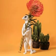 haoshi 良事設計 狐獴花器 - 送上祝福 站姿01