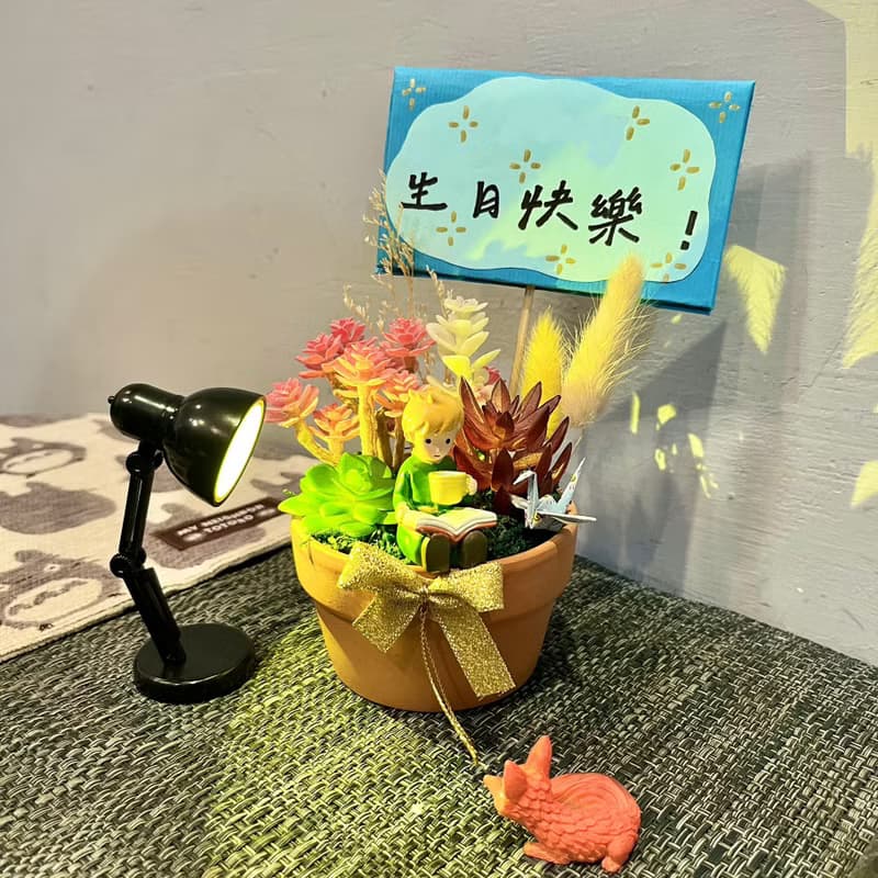小王子 多肉盆栽 生日送禮星の王子さまLe Petit Prince 仿真多肉