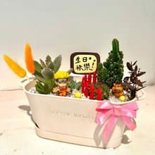 火影忍者 鳴人 漩渦鳴人 蛤蟆吉 多肉組盆 微景觀盆栽 多肉 送禮