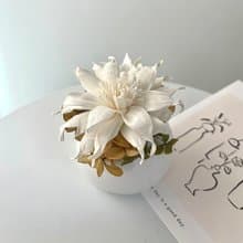 【艸弄花藝】擴香花禮盒-捲捲太陽 (附香氛精油)