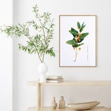 忍冬果實－畫/植物畫作/客廳/咖啡廳掛畫/複製畫/家居佈置