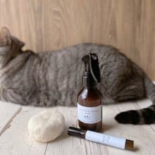 韓國ICAD協會一日寵物香薰保養品證書課程 Pet Aroma Basic