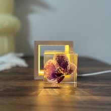 真花 \乾燥花 米奇蝴蝶蘭永生花樹脂夜燈