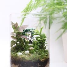 【微景觀】 愛情蘚現 - 組盆/婚禮/結婚紀念/情人節禮物/室內植物