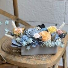 晨曦熹微 永生花長型盆花 祝賀花禮 生日花禮 喬遷花禮