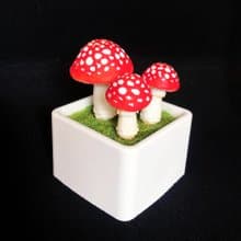 黏土植物 — 鵝膏菌小蘑菇盆栽