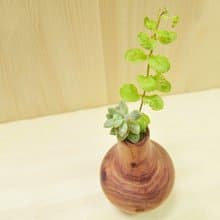 滾動花器-龍柏 小盆器、全方位360度的擺放