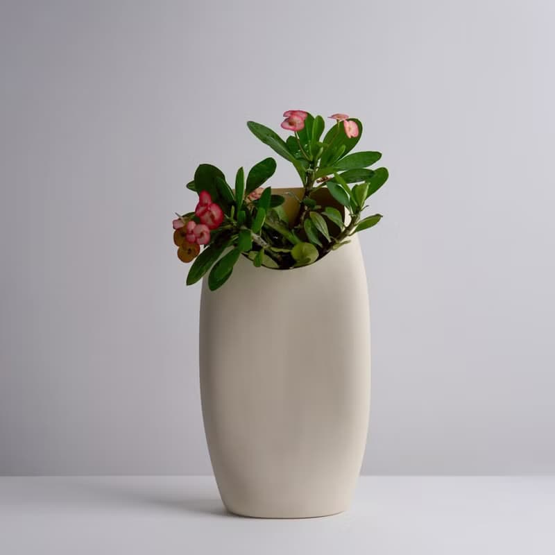 【3,co】月型口扁平花器G9 - 3款任選