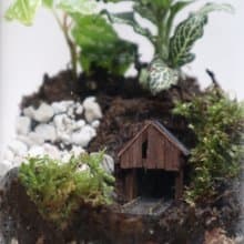 【微景觀】 礦山歷蘚記 - 苔蘚組盆/室內植物/礦山鐵道