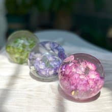 天然真花繡球標本水晶球 植物禮品 裝飾擺件