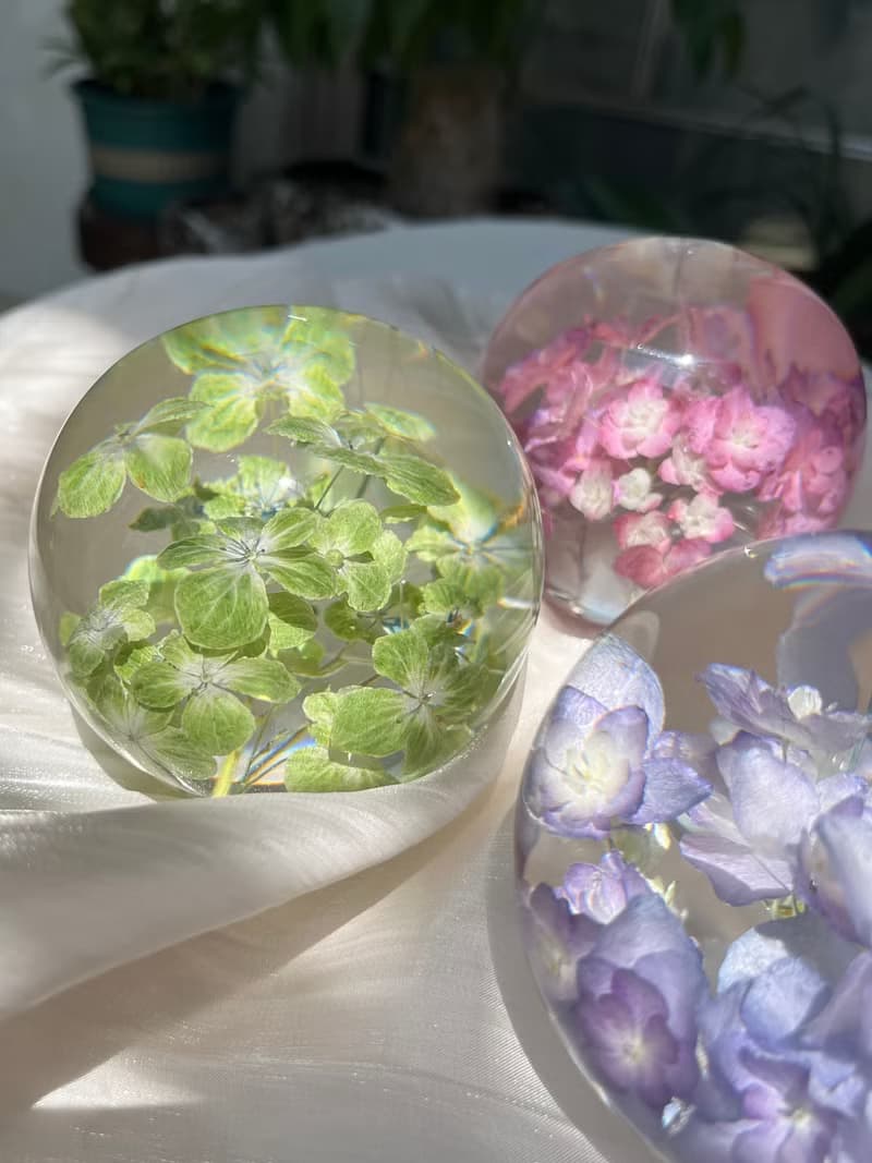 天然真花繡球標本水晶球 植物禮品 裝飾擺件