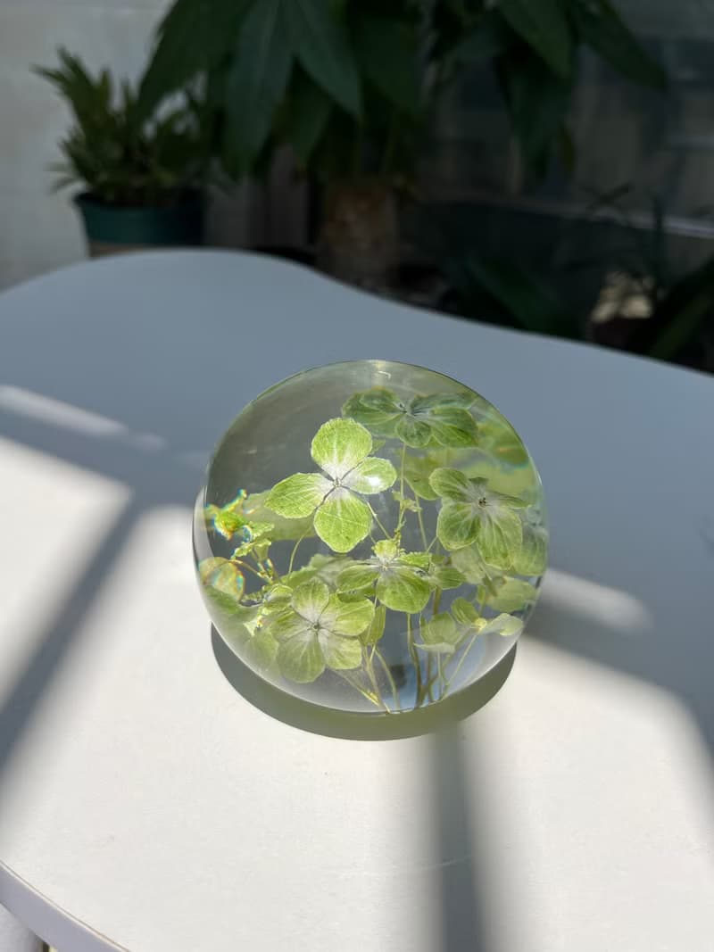 天然真花繡球標本水晶球 植物禮品 裝飾擺件