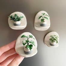 接單製作款 迷你觀葉植物植牆景磁鐵禮盒 共4款。黏土觀葉植物