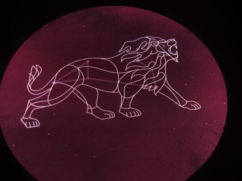 定製星座小夜燈 獅子座Leo 浪漫星空生日禮物 調光陪伴入眠床頭燈
