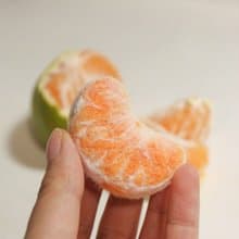 羊毛氈手作 橘子水果 擬真胸針/別針 原創食物系列 閨蜜交換禮物