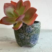 綠茵煙花植栽器皿_陶器花器盆栽