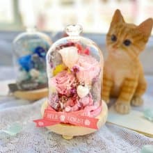 永生花玫瑰鑽石頂玻璃瓶 (浪漫粉紅) 日本花材