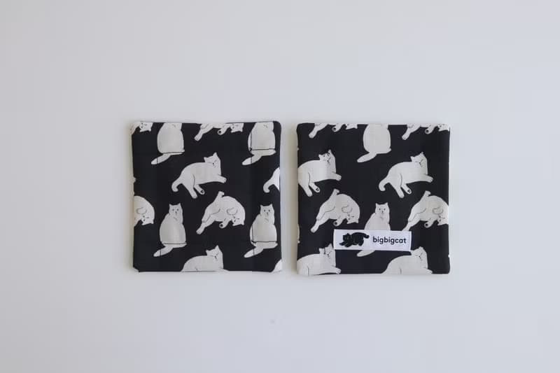 big big cat coasters - one day (black)