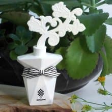 情人節禮物/花片香水瓶A- 擴香 石膏 精油 交換禮物