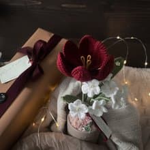 鬱金香與勿忘我盆花 Tulip & Forget me not