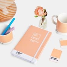 PANTONE 彩通 2024柔和桃限定色