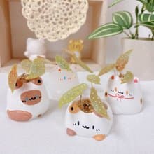 植喵系列   鱒魚秋海棠喵  擴香桌面小植栽