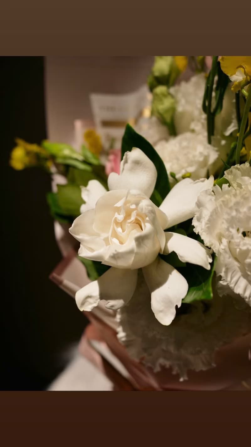 鮮花花束 畢業花束 授獎 禮物 求婚 情人節 白色系