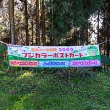 桑惠商號  昭和 日本製 富士FUJIFILM 特別色印刷廣告紀念旗幟