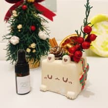 【聖誕擴香】聖誕禮物兔比永生擴香石