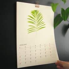 植物的靜默 2025 2026年 月曆 掛曆 給植物愛好者的新年禮物 1