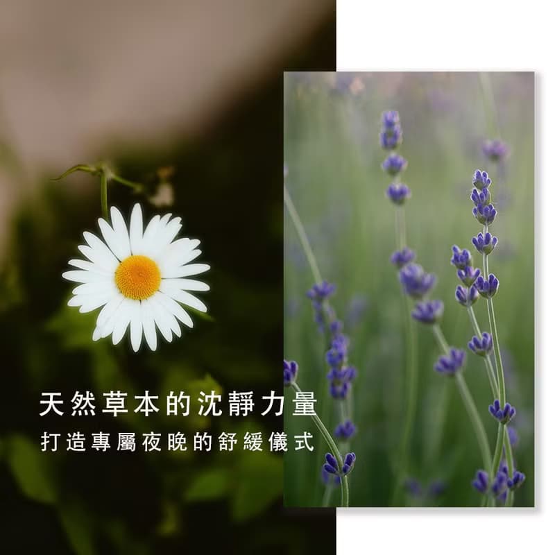 無憂舒眠噴霧 - 純植物精油複方香氛噴霧 睡眠噴霧 枕頭噴霧