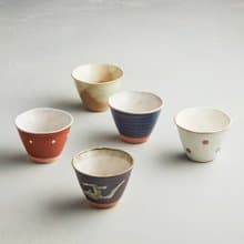 日本美濃燒 - 古窯釉彩陶杯 - 禮盒組(5件式) – 9.5cm