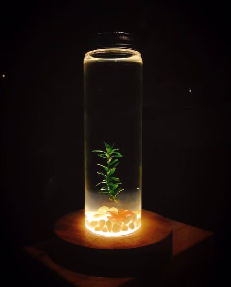 【太陽水草】藍琉璃石裝飾款 節節高升 浪漫療癒禮物首選
