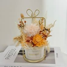 永生花盆花-開幕盆花/喬遷禮/新婚禮物/入厝禮/升遷禮/母親節禮物