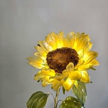 向日葵 • 沾浸藝術花燈 【閒逛花間系列】小夜燈。生日禮物