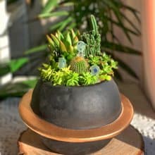 【開幕賀禮】水泥多肉組盆-星球款.新居落成.升官喬遷