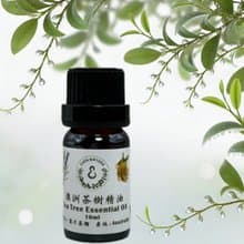 天然純精油 茶樹精油 10/50ML 100%純精油 單方精油 贈玫瑰擴香石