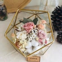 Ochre 玻璃花房系列-半圓金邊-大