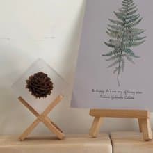 【純淨植磚－毬果】植感手作藝術品/居家品味擺飾