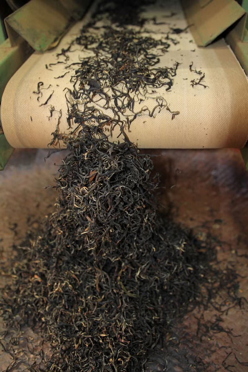 【鮮奶茶專用】重焙紅茶茶包-30入