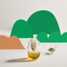 白花四季春 濾掛式茶包