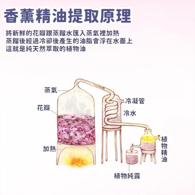 【Life365】香氛蠟燭 芳香蠟燭 香薰蠟燭(RS1470)