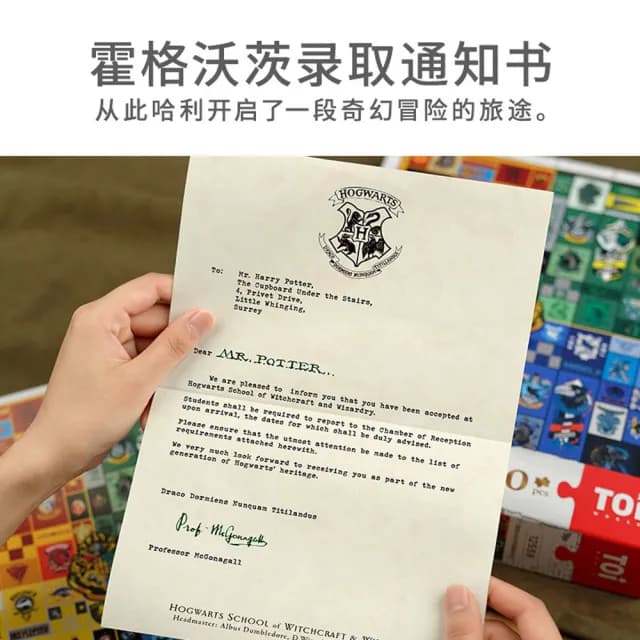 【TOi 圖益】霍格沃茲城堡 夜光 拼圖1000片(父親節七夕禮物 DIY生日插畫桌遊父親節七夕禮物)