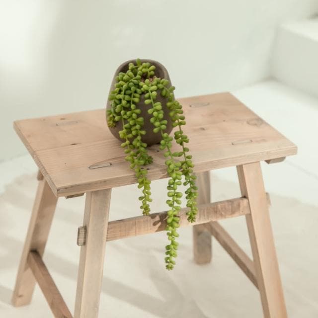 【YU Living 信歐傢居】仿真垂掛式多肉植物裝飾盆栽(綠色/人造盆栽 園藝花卉 室內裝飾)