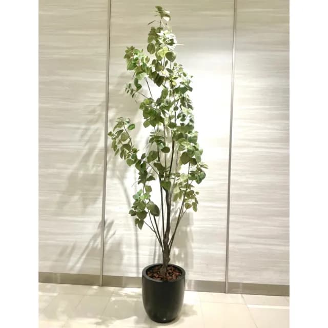 【HUGO DECO 榆果傢飾】擬真綠石榴樹植栽 免運專人配送限雙北市(仿真盆栽/綠化植物)