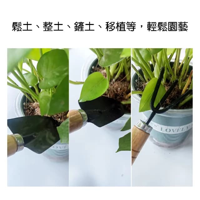 【BOBOLIFE】園藝三件組 粗柄款(辦公室園藝 多肉植物 植栽工具組 園藝組)