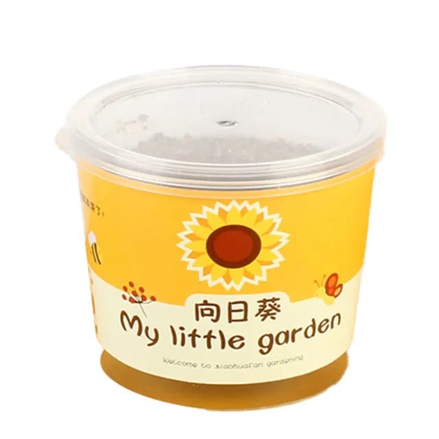 【百獅】種植小盆栽 兒童植物 兒童盆栽(DIY負離子綠植 小盆栽 桌面迷你兒童種植 室內植物 辦公室盆栽)
