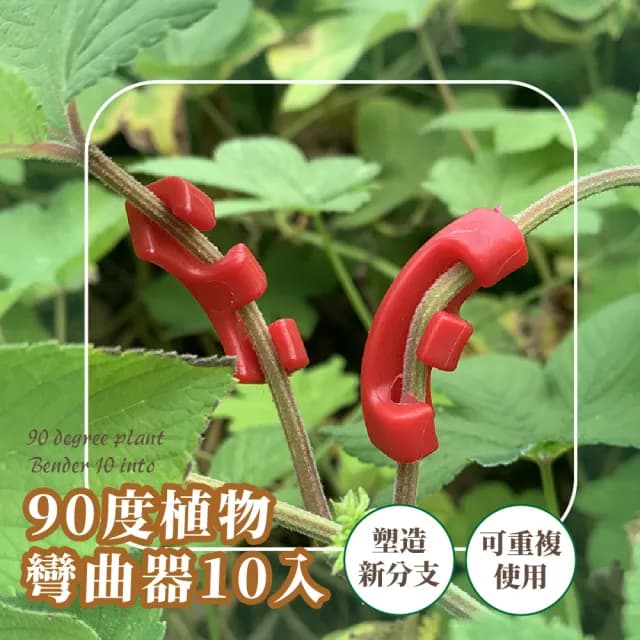 90度植物彎曲器10入(不傷植物 訓練器 植物生長 盆栽 盆景 果樹 彎枝器 園藝工具 植物固定器)
